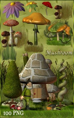Клипарт - Цветы грибы и Гномы