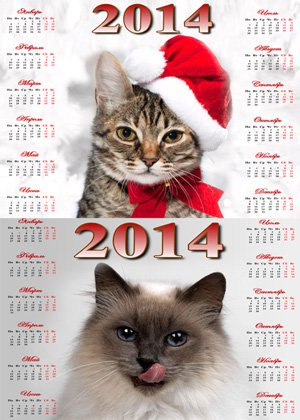 2 Календаря на 2014 год – Пушистики